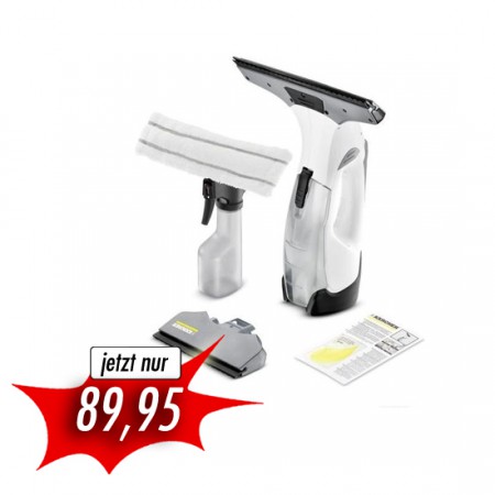 Kärcher WV5 Premium Fenstersauger